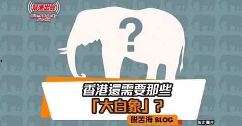 大白象在线视频,揭秘生活百态，畅享云端时光